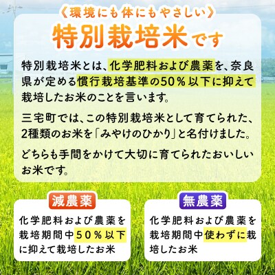 特別栽培米 みやけのひかり 2合 300グラム お試し 減農薬米 奈良県三宅町 白米 ヒノヒカリ