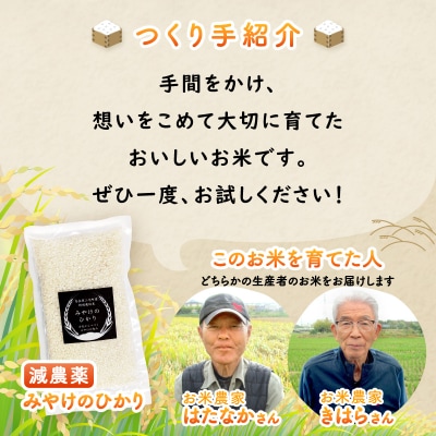 特別栽培米 みやけのひかり 2合 300g お試し 減農薬米 奈良県三宅町 白米 ヒノヒカリ 保存