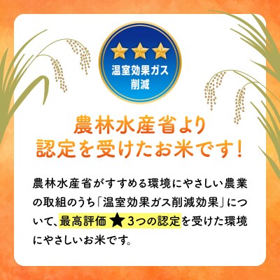 特別栽培米 みやけのひかり 2合 300g お試し 無農薬米 奈良県三宅町 白米 ヒノヒカリ 保存