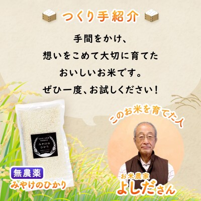 特別栽培米 みやけのひかり 2合 300g お試し 無農薬米 奈良県三宅町 白米 ヒノヒカリ 保存