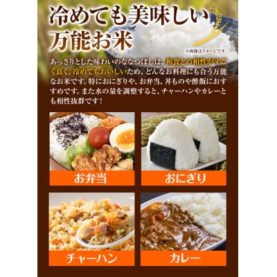 当別産米5kgななつぼし