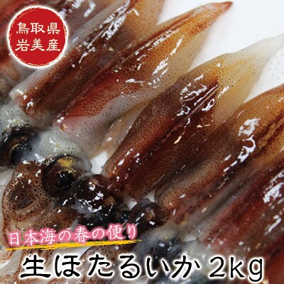 鳥取県岩美産 生ほたるいか2kg 250g 8パック お礼品詳細 ふるさと納税なら さとふる