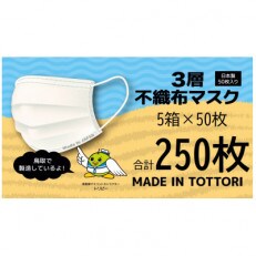 【50枚入り×5箱(250枚)】耳が痛くなりにくい不織布マスク　鳥取岩美町製造