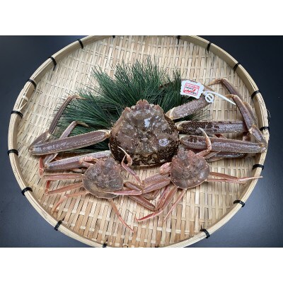鳥取県網代産　訳あり松葉がに　親がに　夫婦セット(生)
