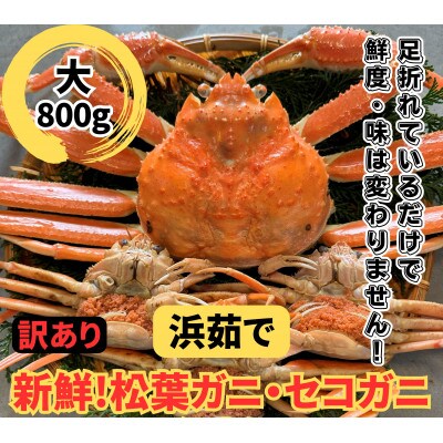 鳥取網代港【訳あり】浜茹で!松葉ガニ・セコガニセット(大)【さかなや新鮮組】