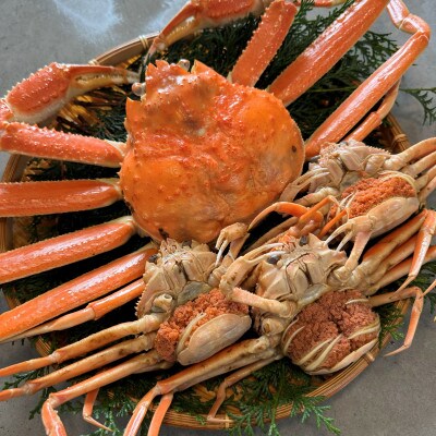 鳥取網代港【訳あり】浜茹で!松葉ガニ・セコガニセット(大)【さかなや新鮮組】