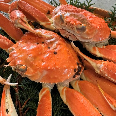 鳥取網代港【訳あり】浜茹で!松葉ガニ1kgセット【さかなや新鮮組】