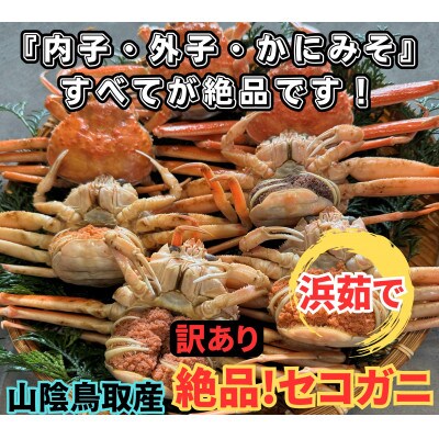 鳥取網代港【訳あり】浜茹で!絶品セコガニ1kgセット【さかなや新鮮組】