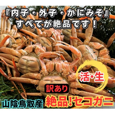 鳥取網代港【訳あり】活!絶品セコガニ1kgセット【さかなや新鮮組】