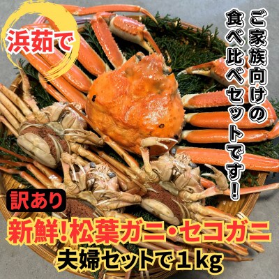 鳥取網代港【訳あり】浜茹で!松葉ガニ・セコガニ1kgセット【さかなや新鮮組】