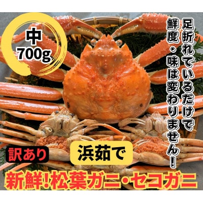 鳥取網代港【訳あり】浜茹で!松葉ガニ・セコガニセット(中)【さかなや新鮮組】