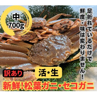 鳥取網代港【訳あり】活!松葉ガニ・セコガニセット(中)【さかなや新鮮組】