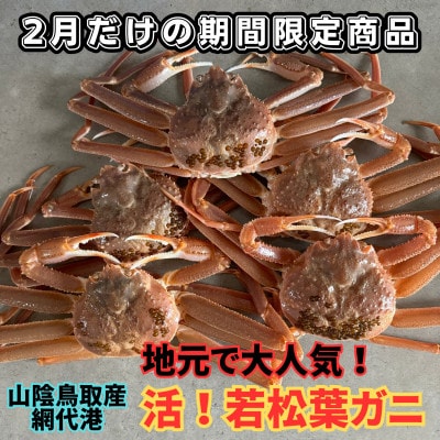 鳥取網代港　地元で大人気　活!若松葉ガニ(中5枚)【さかなや新鮮組】