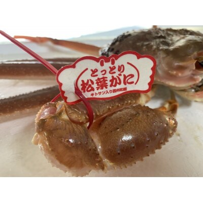 鳥取網代港【ブランドタグ付】浜茹で!極上松葉ガニ1枚(900g以上)【さかなや新鮮組】