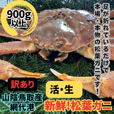 鳥取網代港【訳あり】活!極上松葉ガニ1枚(900g以上)【さかなや新鮮組】