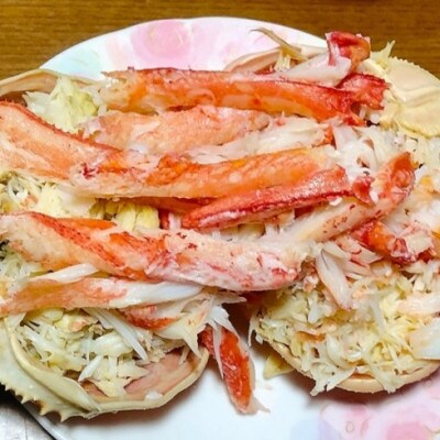 鳥取網代港【訳あり】浜茹で!極上松葉ガニ1枚(900g以上)【さかなや新鮮組】