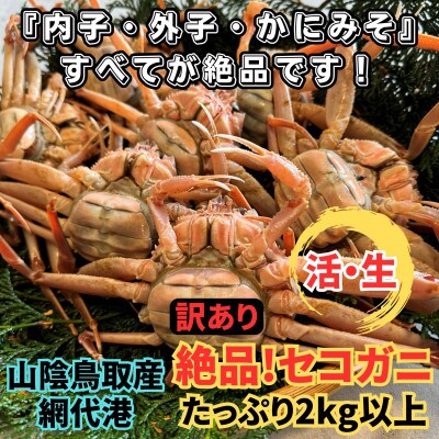 鳥取網代港【訳あり】活!絶品セコガニ2kgセット【さかなや新鮮組】