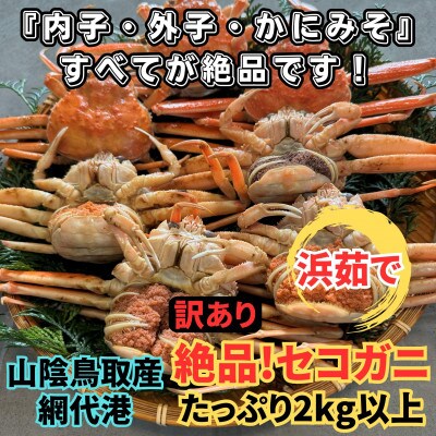 鳥取網代港【訳あり】浜茹で!絶品セコガニ2kgセット【さかなや新鮮組】