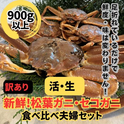 鳥取網代港【訳あり】活!松葉ガニ1枚(900g以上)・セコガニ3枚セット【さかなや新鮮組】