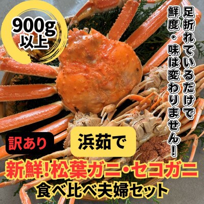 鳥取網代港【訳あり】浜茹で!松葉ガニ1枚(900g以上)・セコガニ3枚セット【さかなや新鮮組】