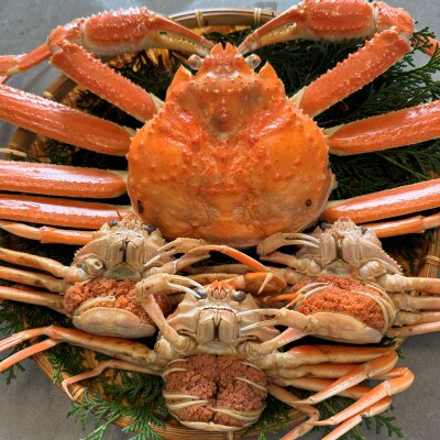 鳥取網代港【訳あり】浜茹で!松葉ガニ1枚(900g以上)・セコガニ3枚セット【さかなや新鮮組】