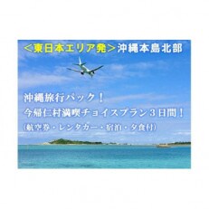 <東日本エリア発>沖縄旅行パック　今帰仁満喫チョイスプラン3日間!