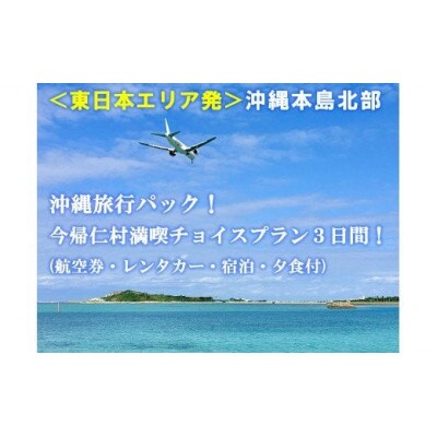 <東日本エリア発>沖縄旅行パック 今帰仁満喫チョイスプラン3日間!