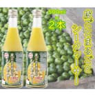 【果汁100%】皮ごとまるごとシークヮーサー500ml×2本セット