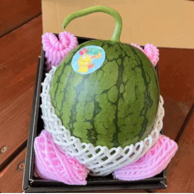 【今帰仁のすいか・ギフト箱】かりゆしすいか(小玉1.7kg)