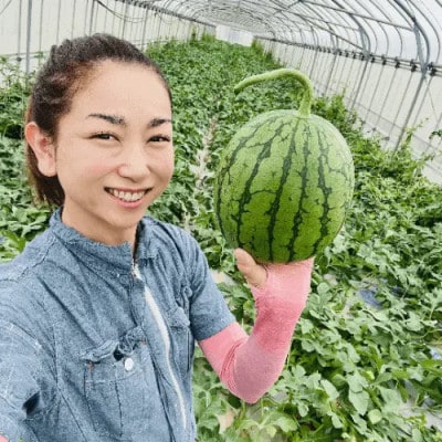 【今帰仁のすいか・ギフト箱】かりゆしすいか(小玉1.7kg)