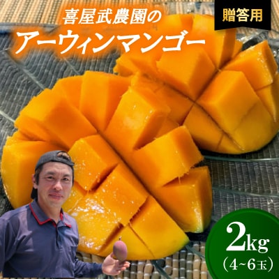 【先行受付・2026年6月から順次発送・贈答用】喜屋武農園のアーウィンマンゴー2kg(4～6玉)