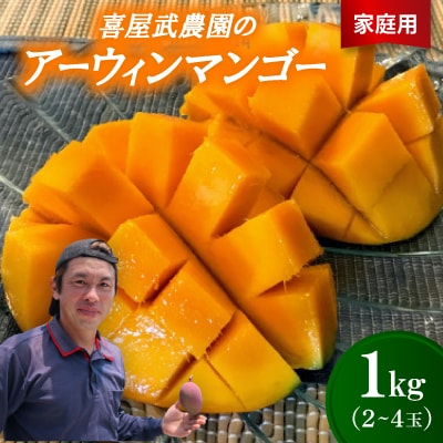 【先行受付・2026年6月から順次発送・家庭用】喜屋武農園のアーウィンマンゴー1kg(2～4玉)