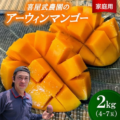 【2027年6月中旬から順次発送・家庭用】喜屋武農園のアーウィンマンゴー2kg(4～7玉)