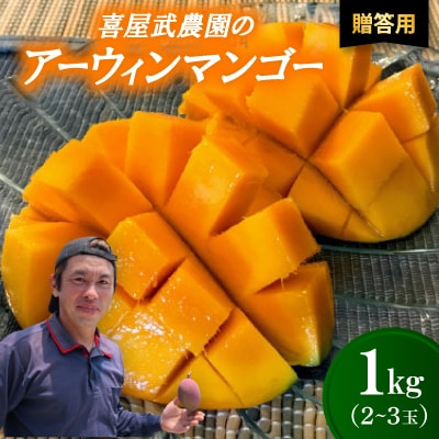 【先行受付・2026年6月から順次発送・贈答用】喜屋武農園のアーウィンマンゴー1kg(2～3玉)