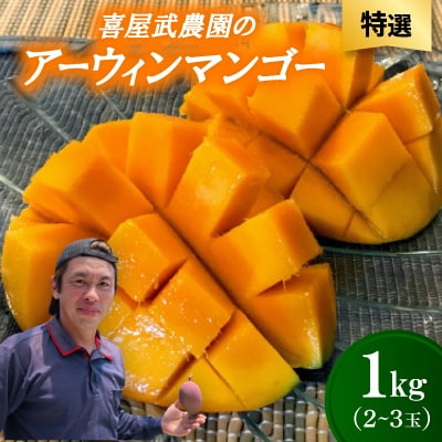 【先行受付・2026年6月から順次発送・特選】喜屋武農園のアーウィンマンゴー1kg(2～3玉)
