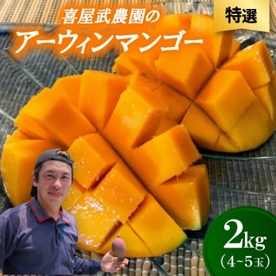 【先行受付・2026年6月から順次発送・特選】喜屋武農園のアーウィンマンゴー2kg(4～5玉)