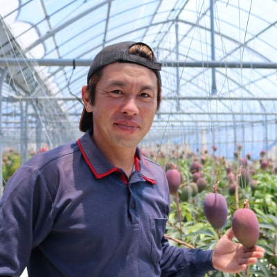 【先行受付・2026年6月から順次発送・特選】喜屋武農園のアーウィンマンゴー2kg(4～5玉)