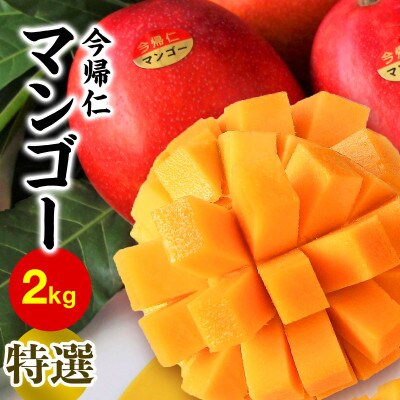 今帰仁マンゴー特選2kg【先行予約】【2023年6月~8月頃発送】生産者直送