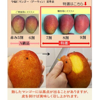 今帰仁マンゴー特選2kg【先行予約】【2023年6月~8月頃発送】生産者直送