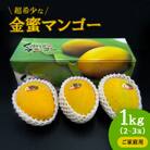 【先行受付・2026年7月から順次発送・ご家庭用】超希少な金蜜マンゴー1kg(2～3玉)
