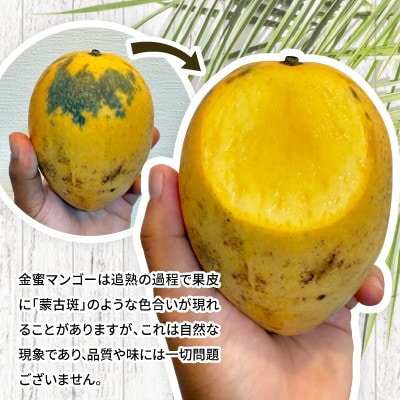 【2025年7～8月頃発送・ご家庭用】超希少な金蜜マンゴー1kg(2～3玉)