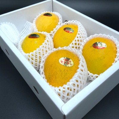 【2025年7～8月頃発送・ご家庭用】超希少な金蜜マンゴー2kg(4～6玉)