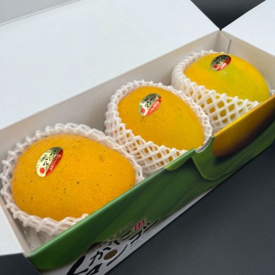【2025年7～8月頃発送・優品】超希少な金蜜マンゴー1kg(2～3玉)