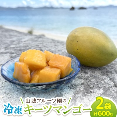 今帰仁産 山城フルーツ園の冷凍キーツマンゴー 600g(300g×2パック)