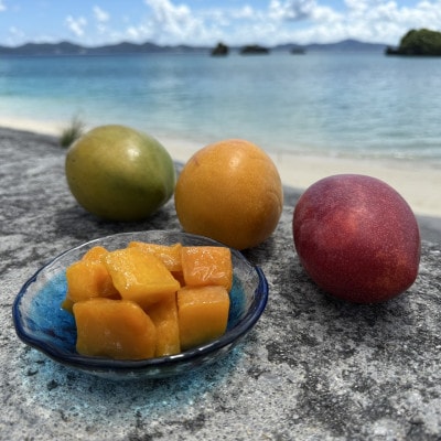 山城フルーツ園の冷凍3種マンゴー食べ比べセット(アップルマンゴー・キーツマンゴー・金蜜マンゴー)