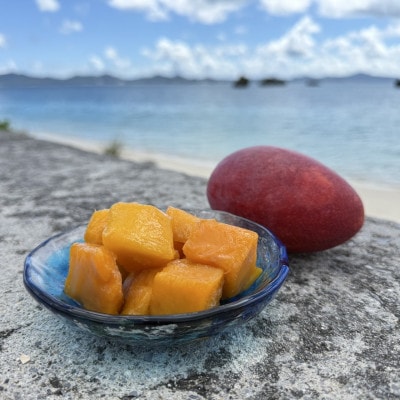 山城フルーツ園の冷凍3種マンゴー食べ比べセット(アップルマンゴー・キーツマンゴー・金蜜マンゴー)