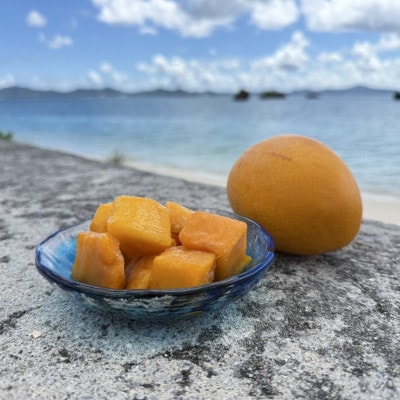 山城フルーツ園の冷凍3種マンゴー食べ比べセット(アップルマンゴー・キーツマンゴー・金蜜マンゴー)