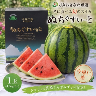 【2027年1月中旬より順次発送】冬に食べる幻のスイカ ぬちぐすいーと 1玉(4.5kg以上)