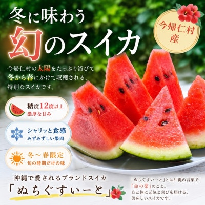 【2027年1月中旬より順次発送】冬に食べる幻のスイカ ぬちぐすいーと 1玉(4.5kg以上)