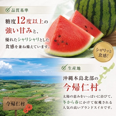 【2027年1月中旬より順次発送】冬に食べる幻のスイカ ぬちぐすいーと 1玉(4.5kg以上)